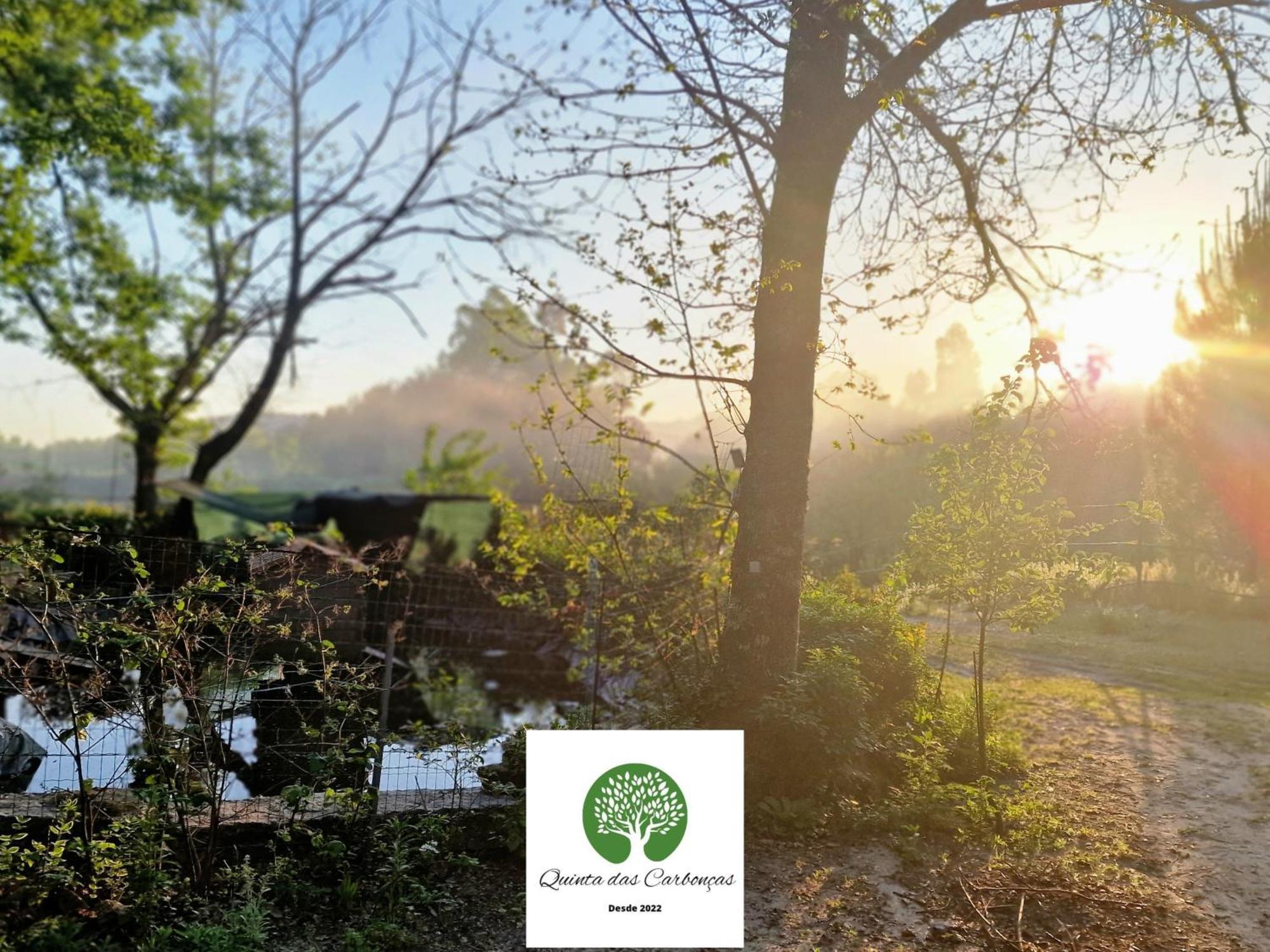 Quinta Das Carboncas Фафі Екстер'єр фото