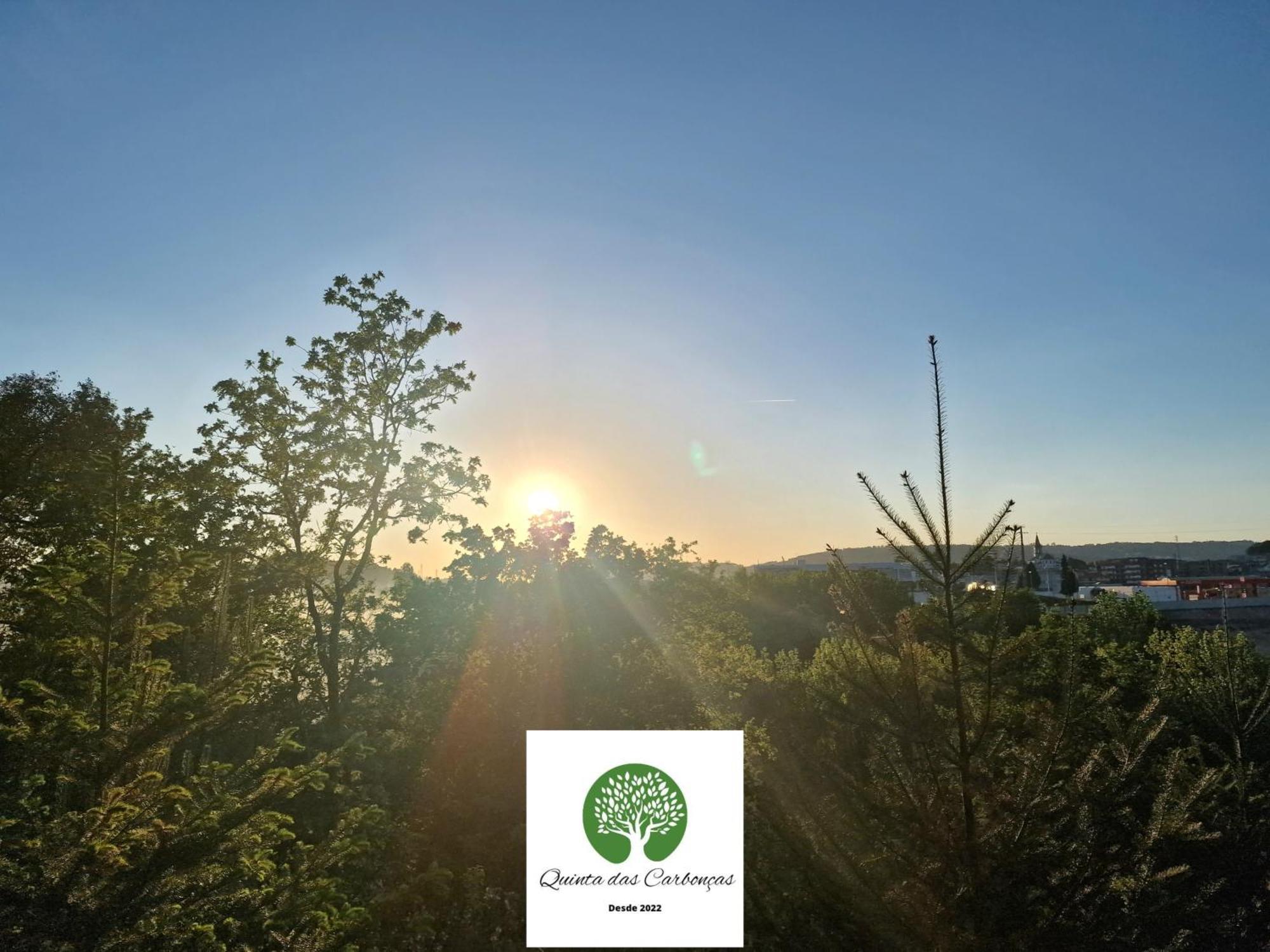 Quinta Das Carboncas Фафі Екстер'єр фото