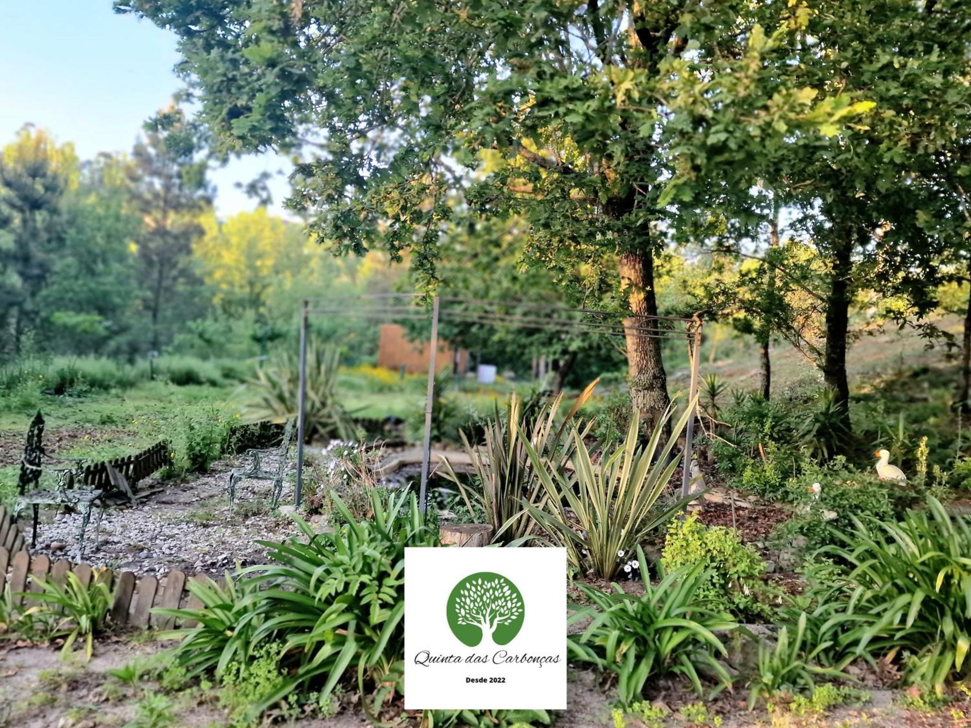 Quinta Das Carboncas Фафі Екстер'єр фото