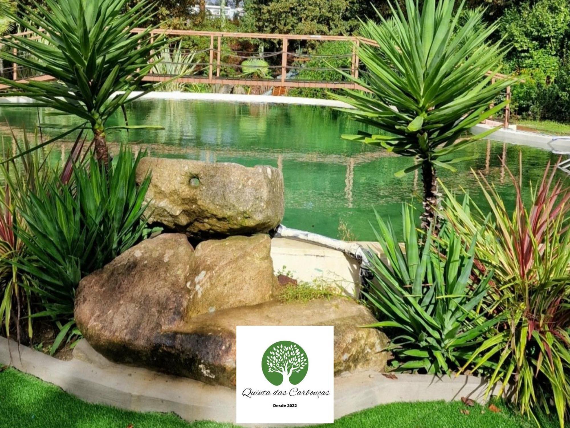 Quinta Das Carboncas Фафі Екстер'єр фото