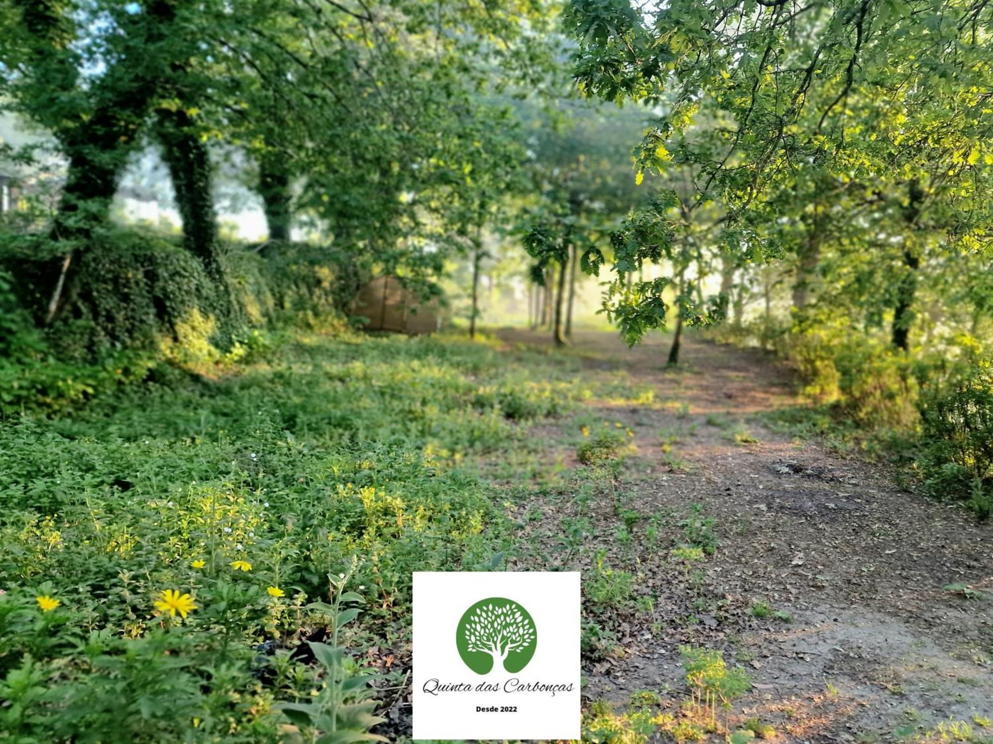 Quinta Das Carboncas Фафі Екстер'єр фото