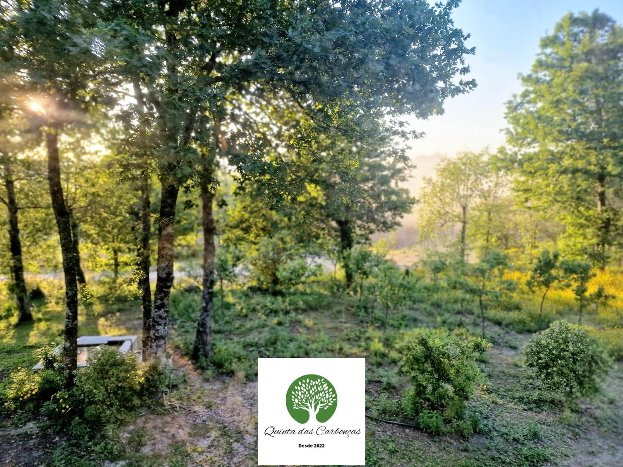 Quinta Das Carboncas Фафі Екстер'єр фото