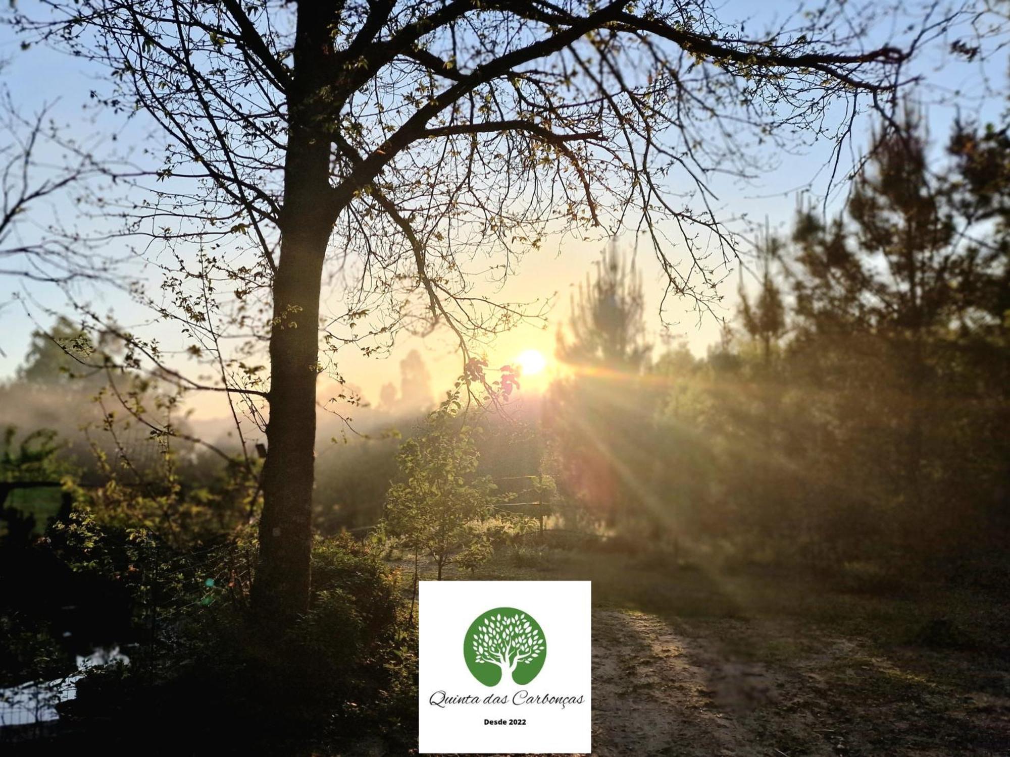 Quinta Das Carboncas Фафі Екстер'єр фото