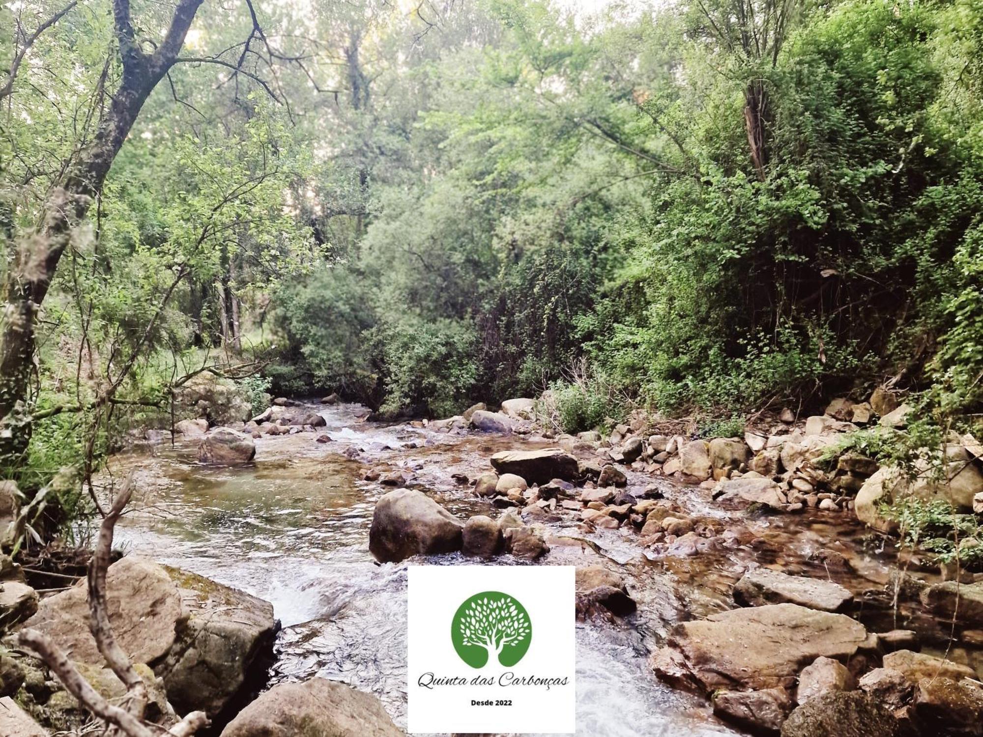 Quinta Das Carboncas Фафі Екстер'єр фото