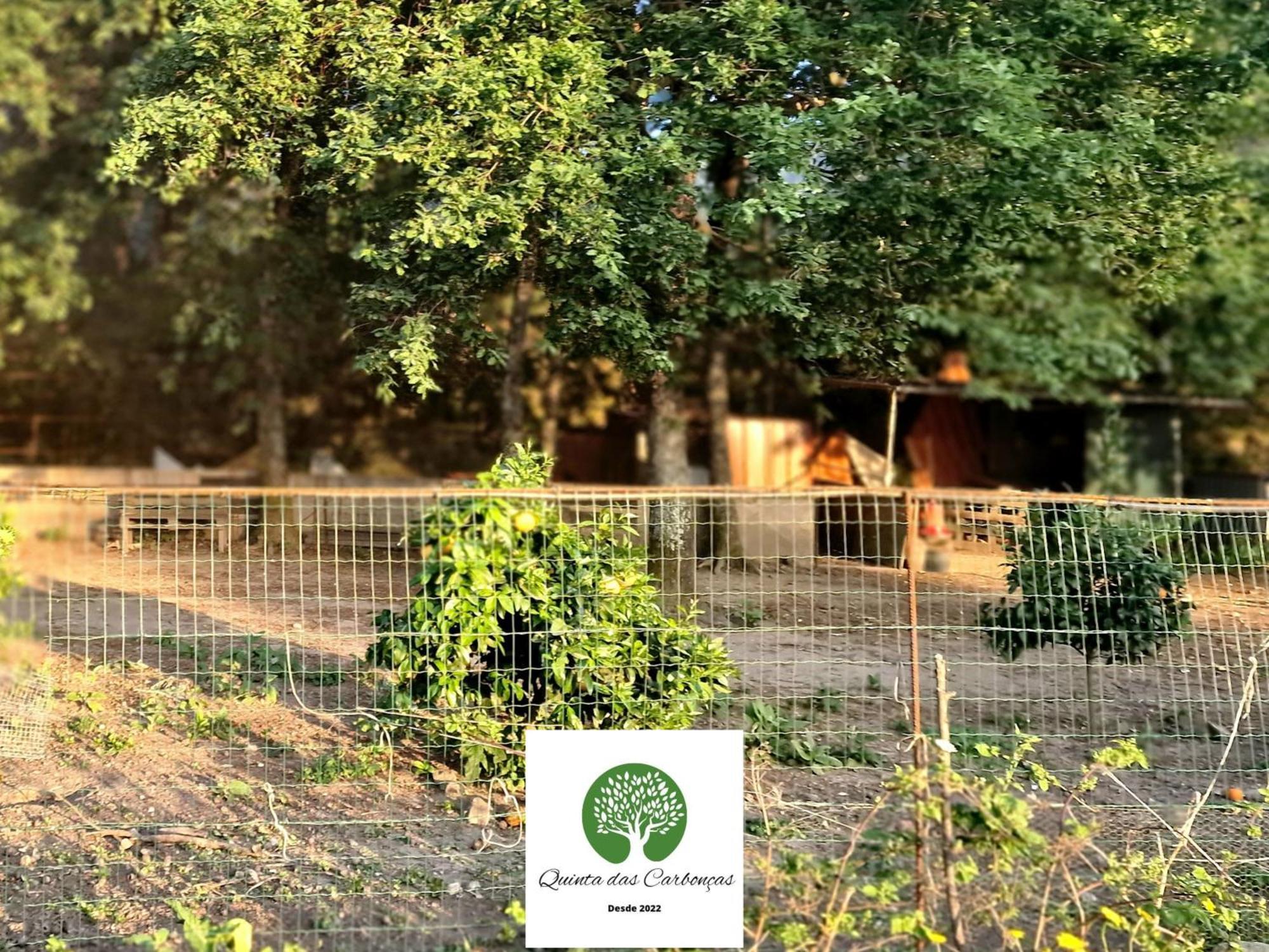 Quinta Das Carboncas Фафі Екстер'єр фото