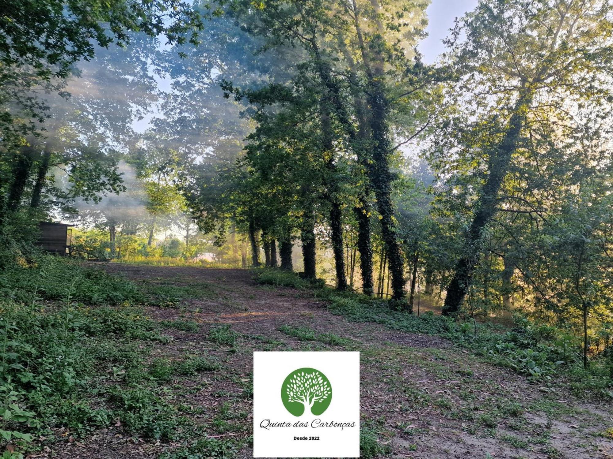 Quinta Das Carboncas Фафі Екстер'єр фото